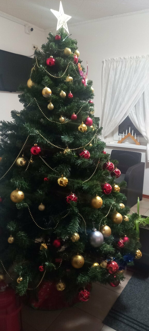 Отель Регенсбург Ижевск-79